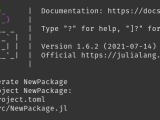 Julia Package Setup Tutorial