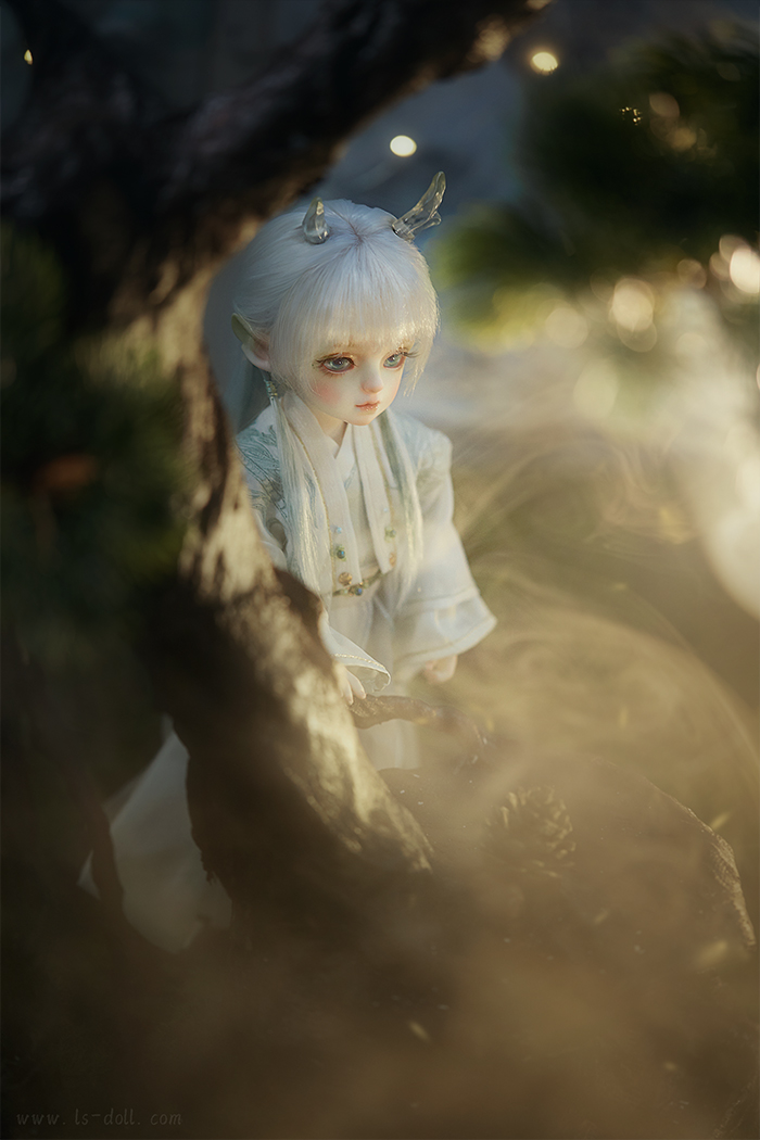Loong Soul Little Jiao Mu Jiao – BJDivas