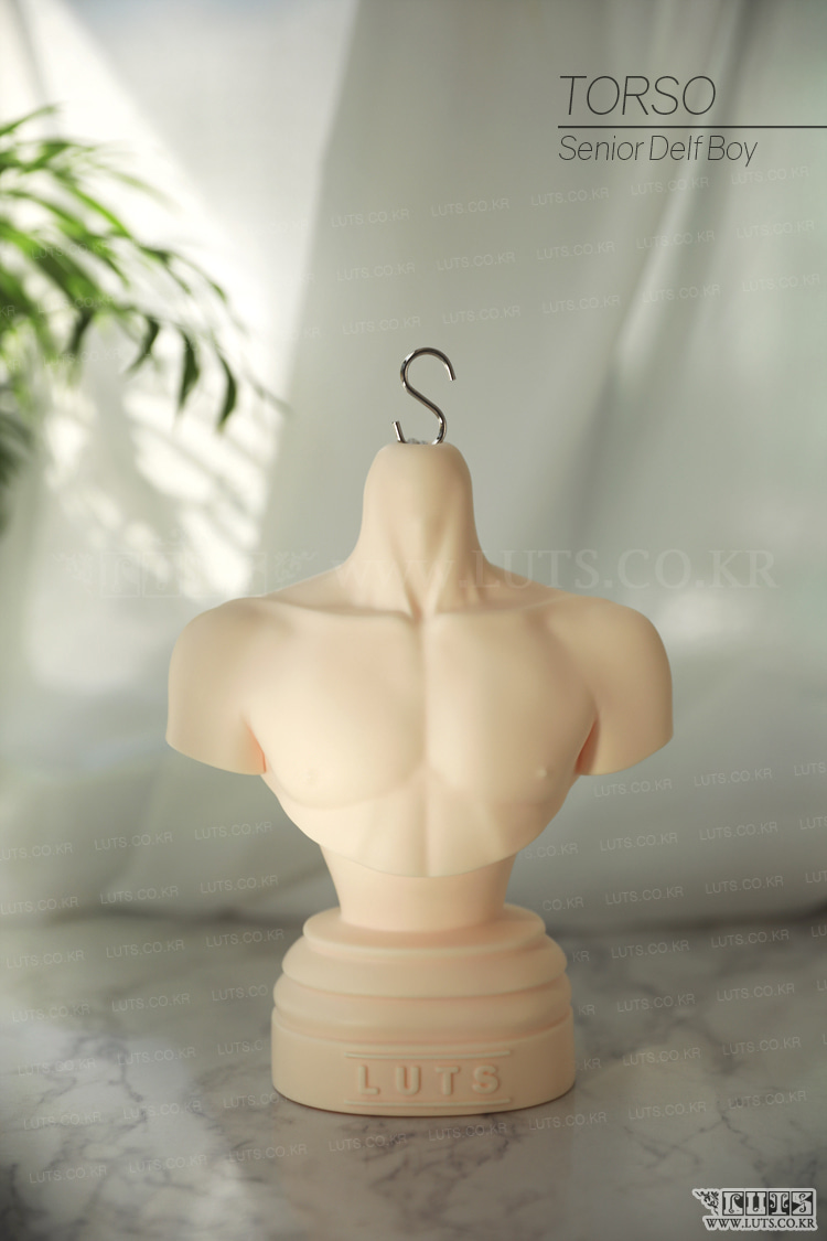 Senior Delf BOY Torso (DF~SSDF) – BJDivas