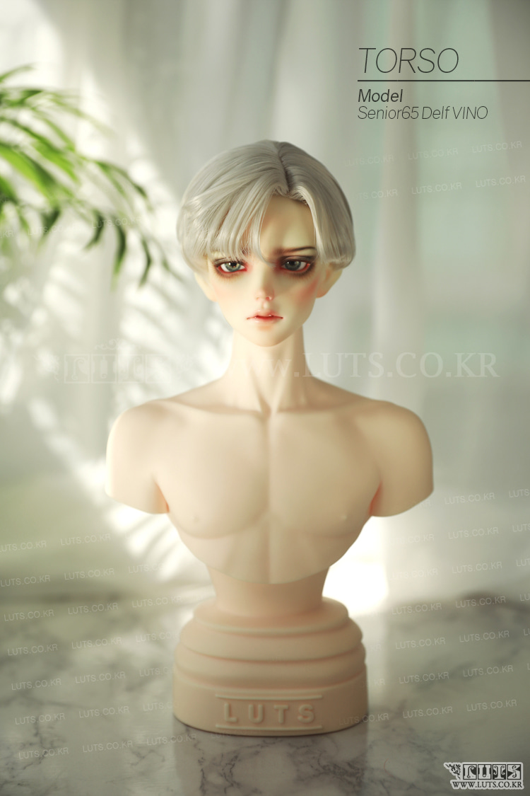 Senior Delf BOY Torso (DF~SSDF) – BJDivas