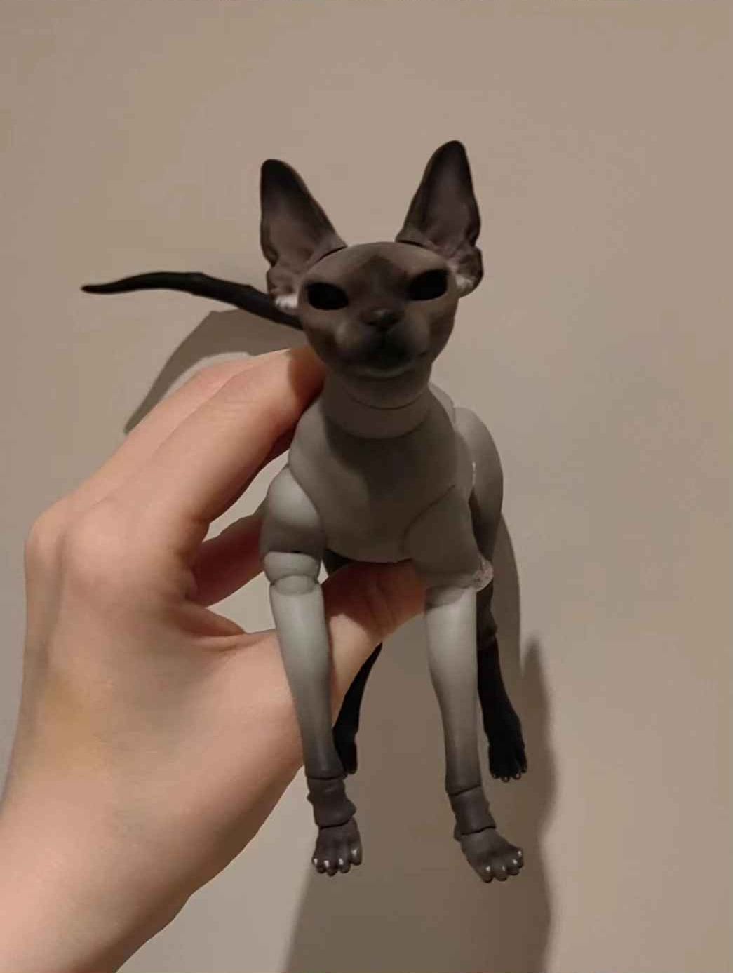 Minstrel Painting Sphynx Cat – BJDivas