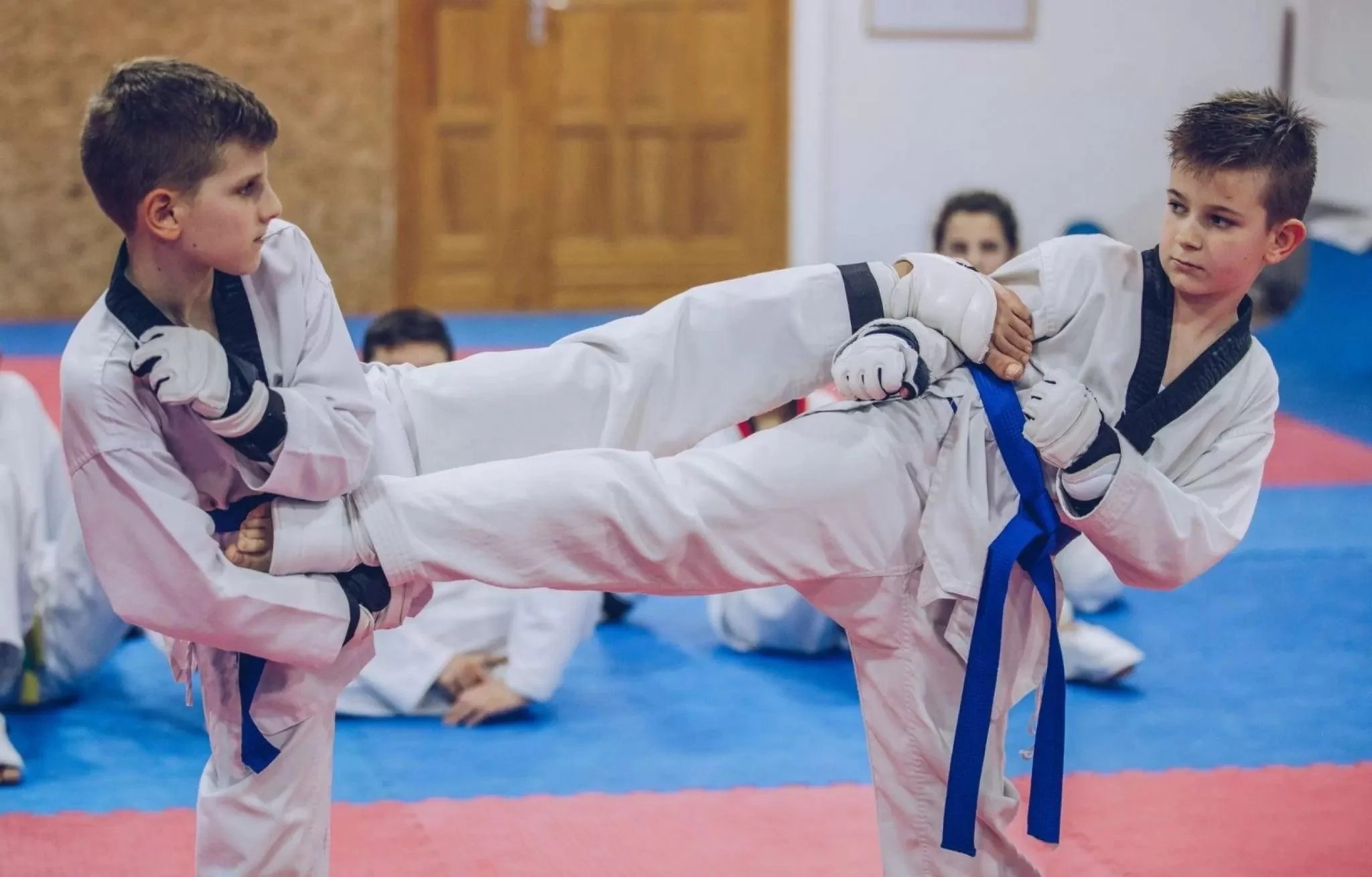 Best Martial Art Ultimate Fighting Styles For Self Defense Bravo