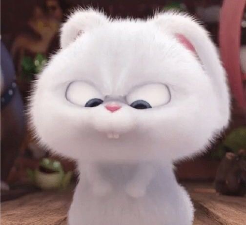pati