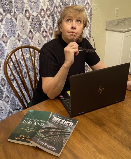 Read more about the article Donna Rewolinksi Asks Where Do You Get Story Ideas?