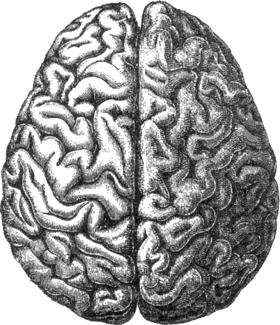 Read more about the article Sharon Lynn asks, Does your character think like you?