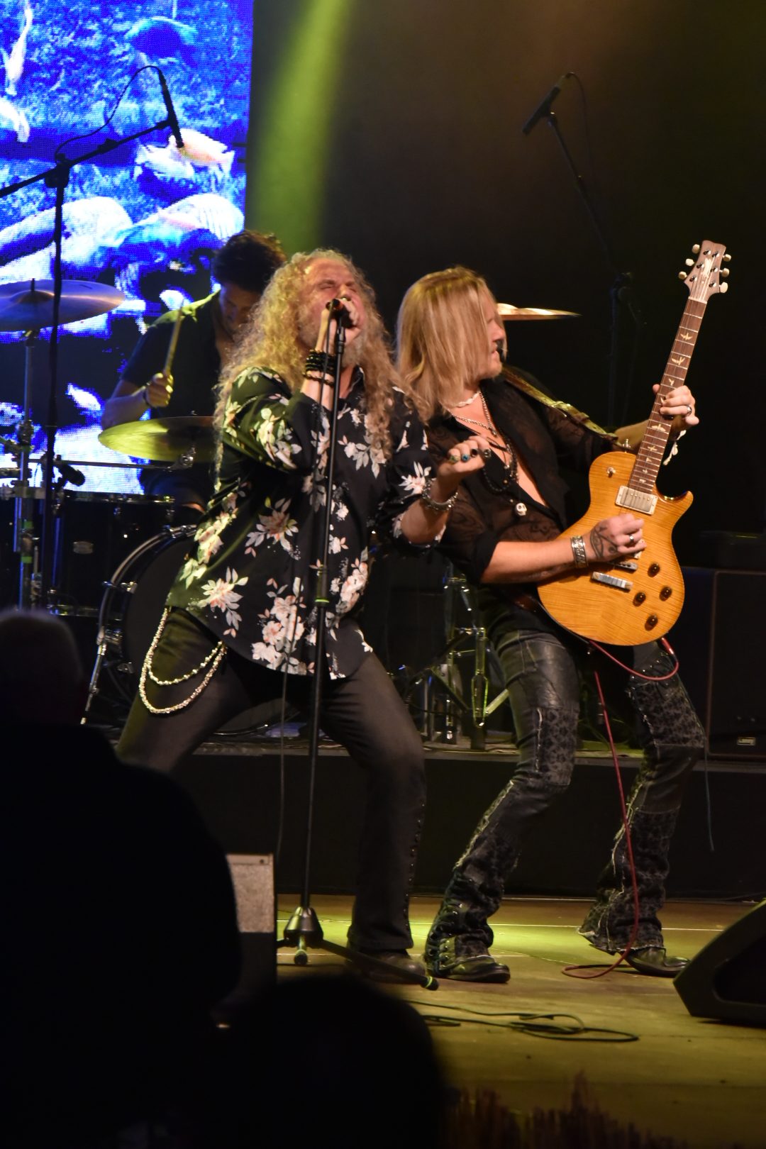 Dio alive