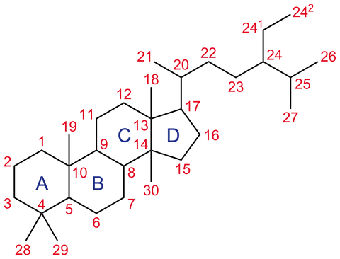 Abstract diagram featuring red numbered points from 1 to 29 and blue lettered points A through D scattered across a black background, possibly representing a molecular structure or spatial map.