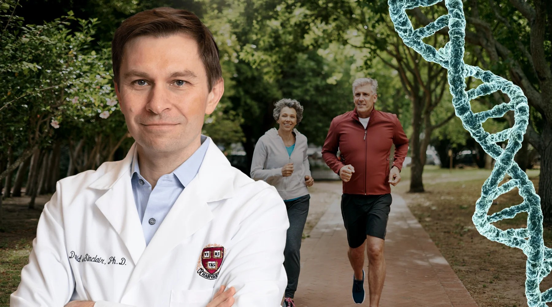 David Sinclair, Ph.D. in a white Harvard lab coat stands before an older couple jogging in a park, with a blue DNA double helix graphic overlaid on the right side.