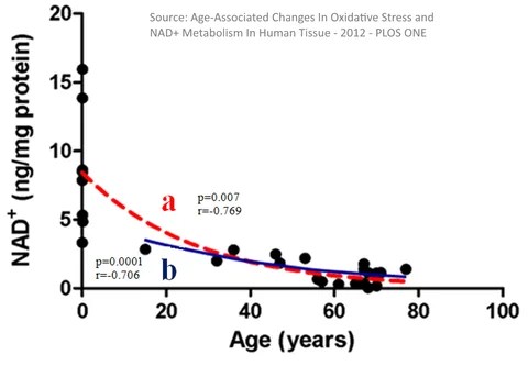 Scientific scatter plot illustrating age-associated decline in NAD+ levels from a PLOS ONE study, featuring black data points, red dashed and blue solid trend lines, and statistical correlation data.