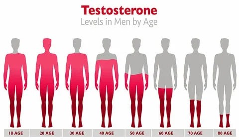 Infographic titled Testosterone Levels in Men by Age featuring eight male silhouettes with red fill decreasing from full body at age 20 to only feet at age 80.