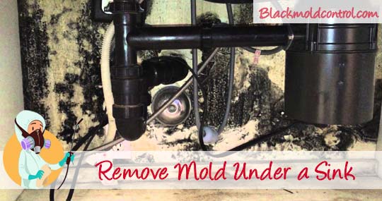 How to Get Rid of Mold Under the Sink | DoItYourself.com