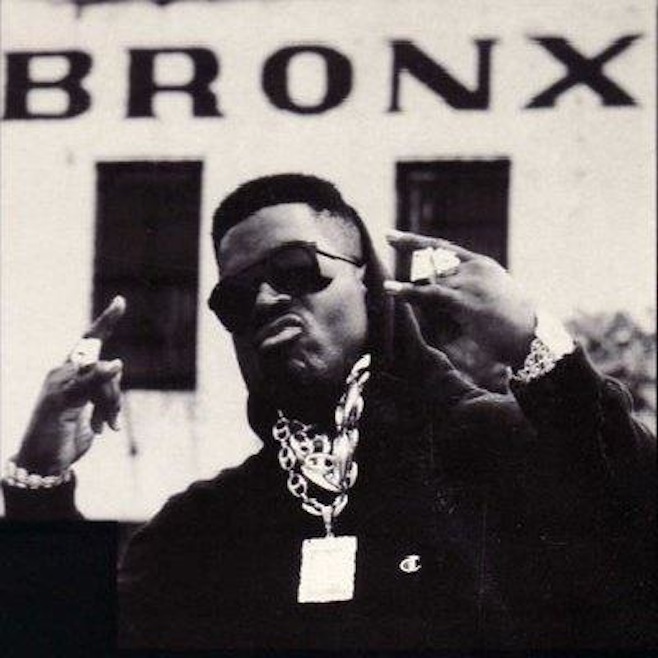 tim dog bronx