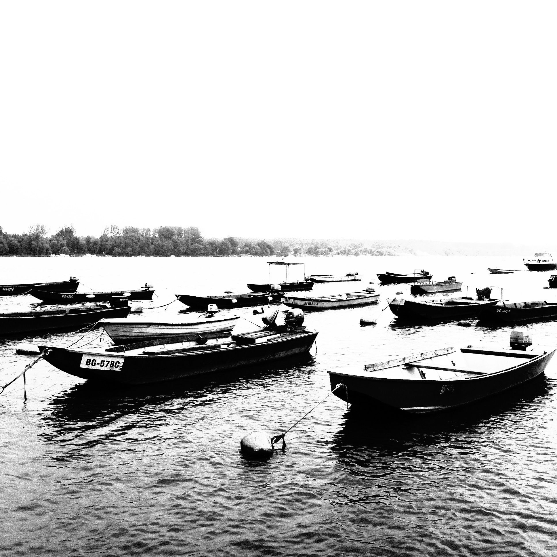 IMG_6760