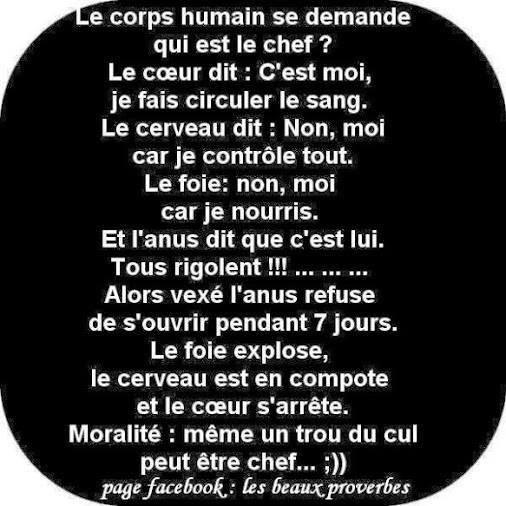 Télécharger gratuitement Images Janvier 2017 Blague Drole actualisé par