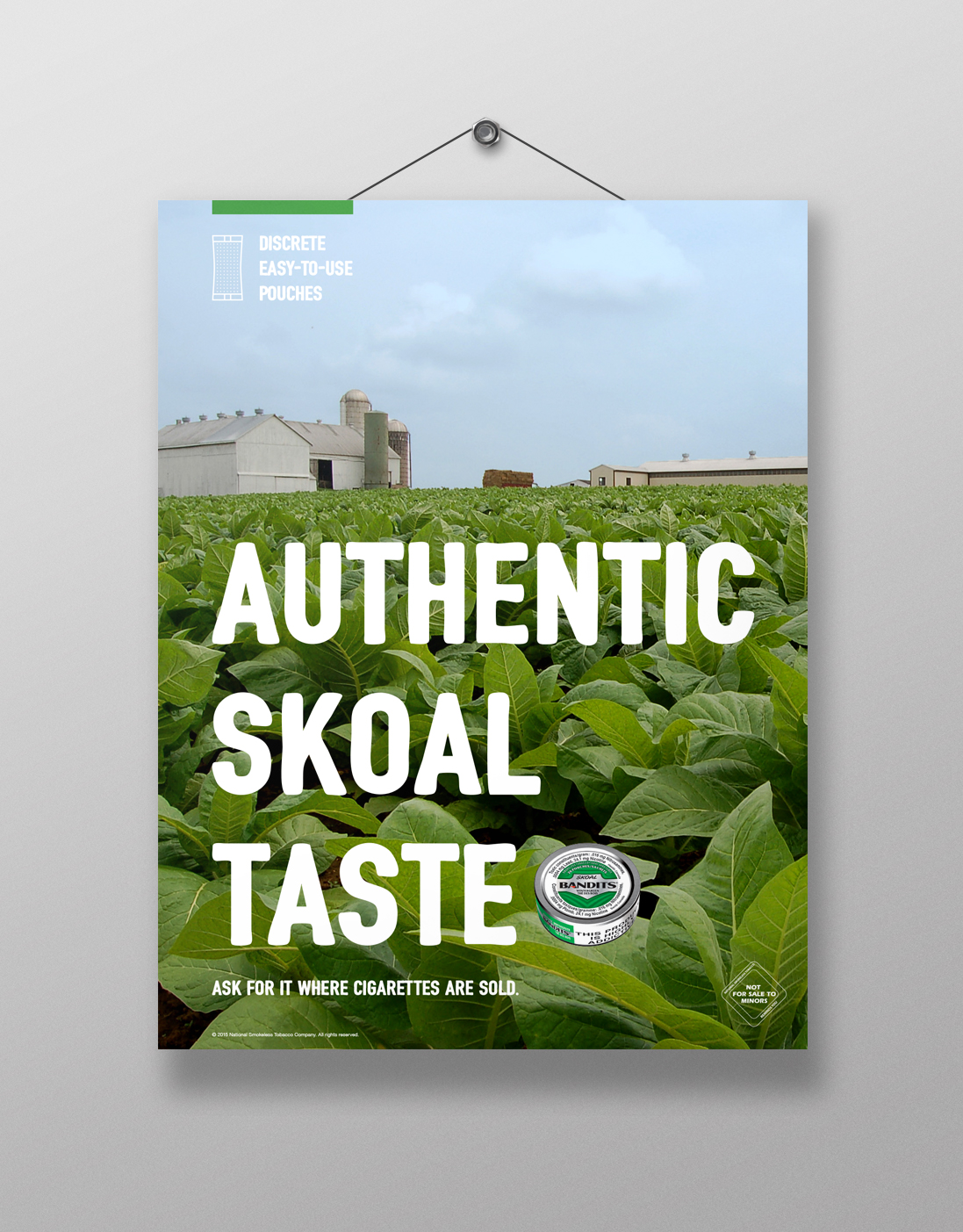 Skoal Poster Concepts