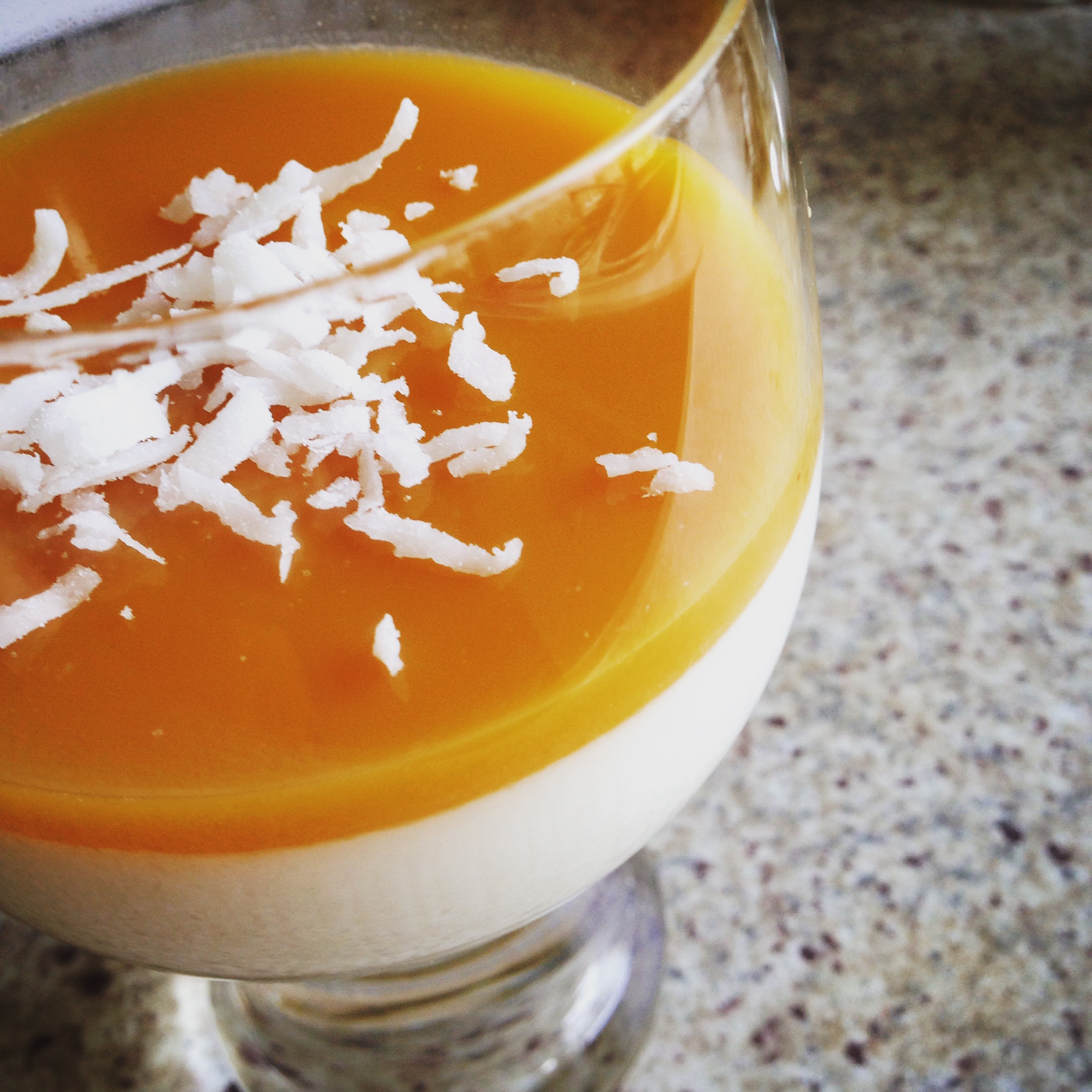 Panna cotta par exelans.