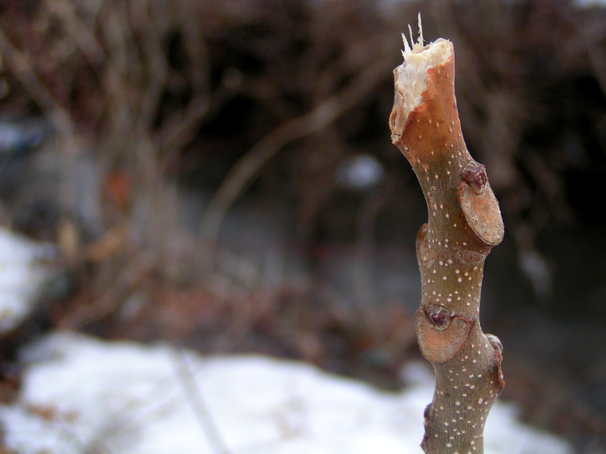 Composition Photography