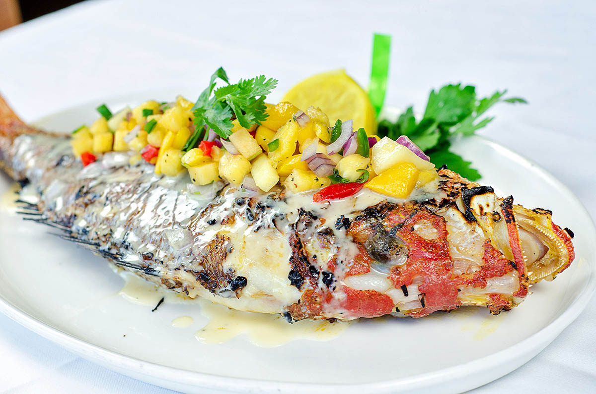 Snapper copy