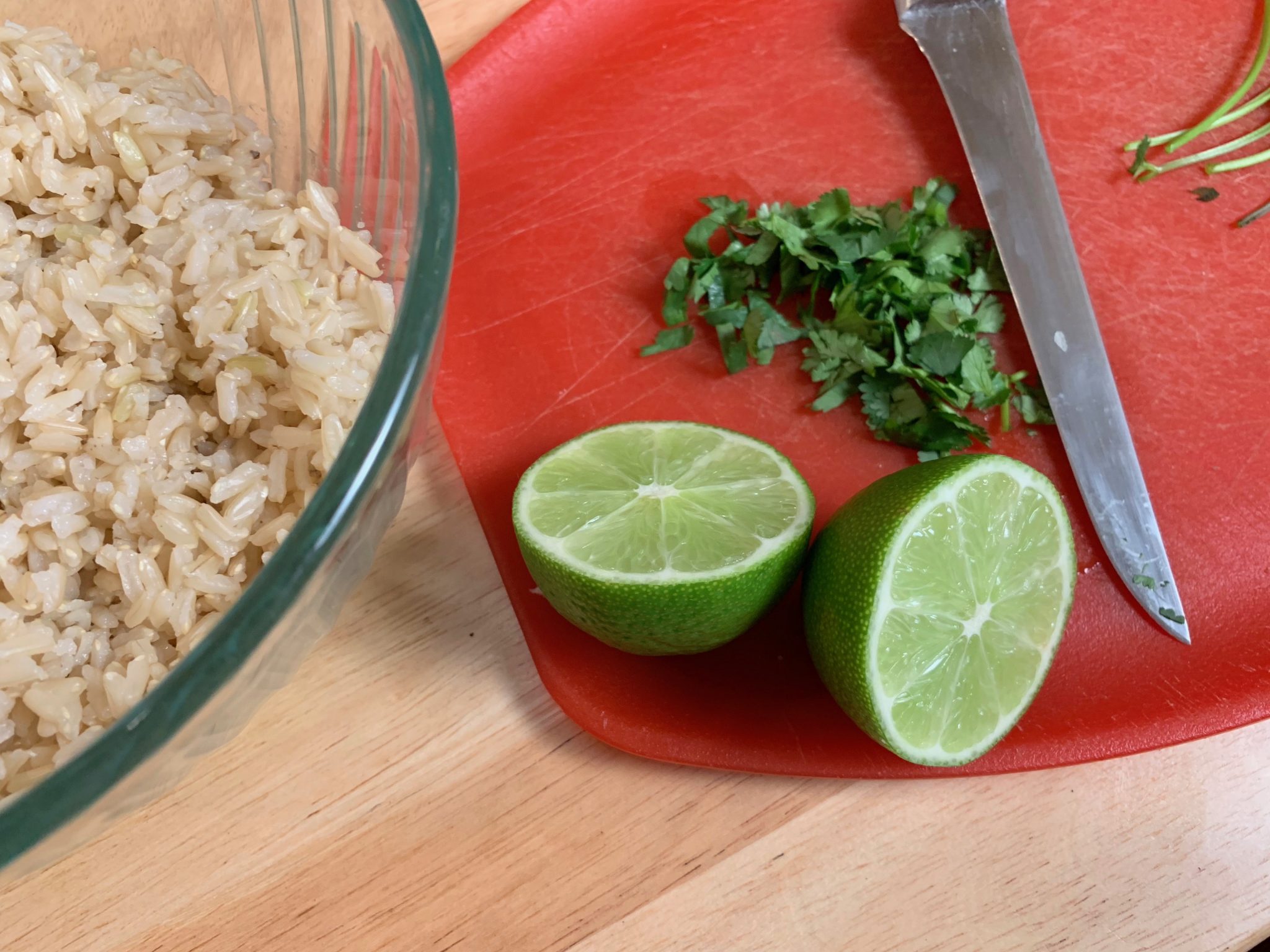 Crispy Carnitas Burrito Bowl