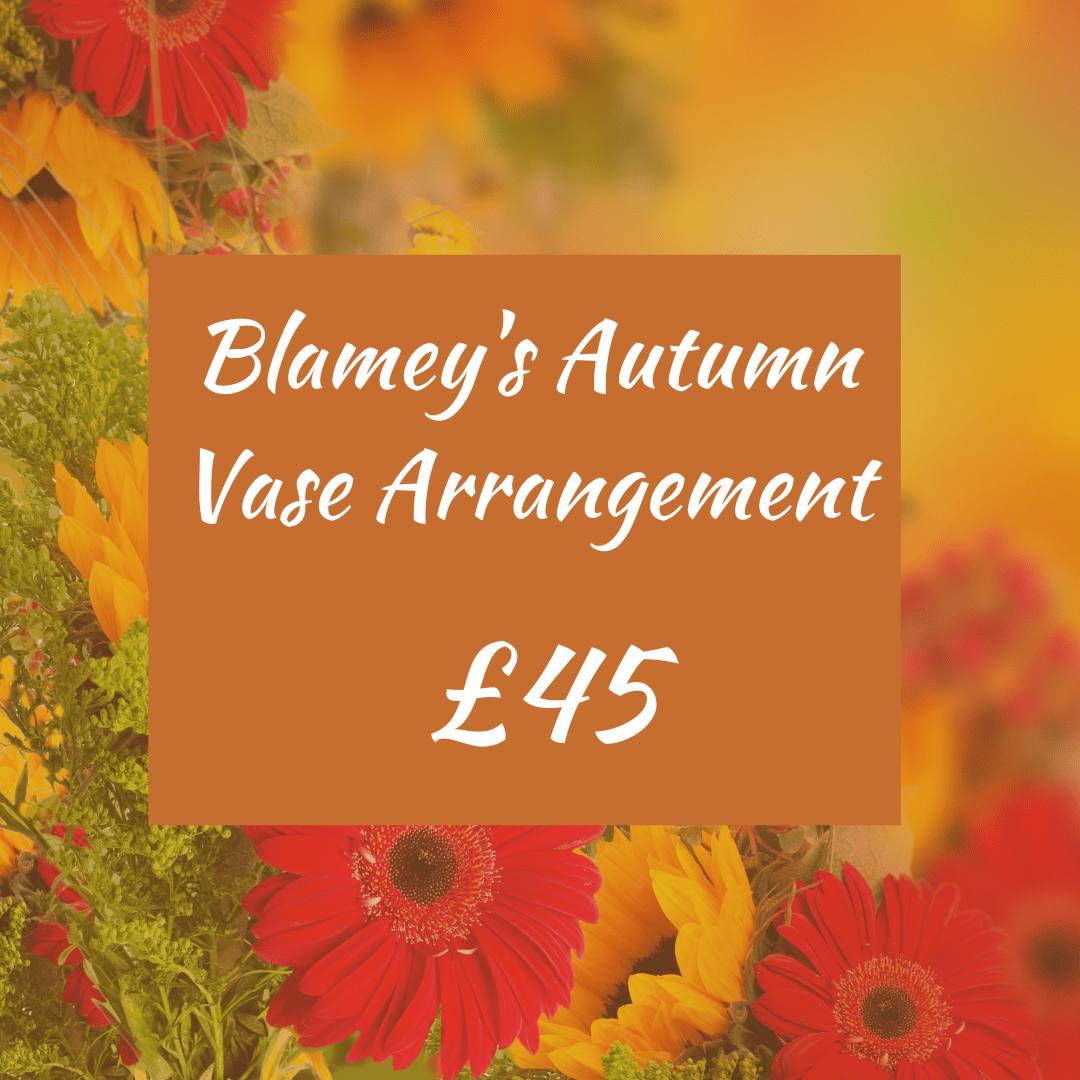 Blamey's Florist Florist Harrogate Flower Delivery Leeds Florist