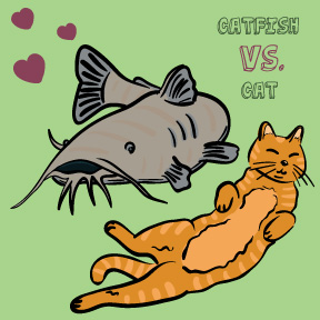 Catfish vs. Cat