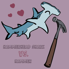 Hammerhead vs. Hammer