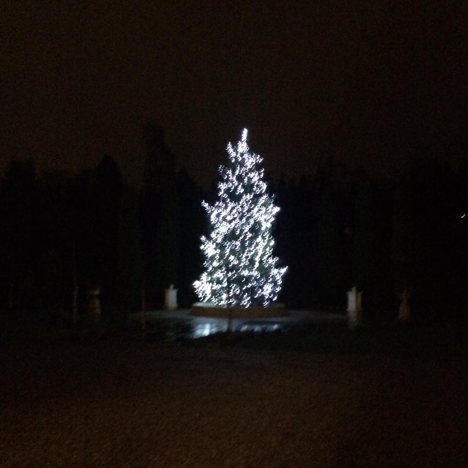 Crossbasket Christmas Tree 2015