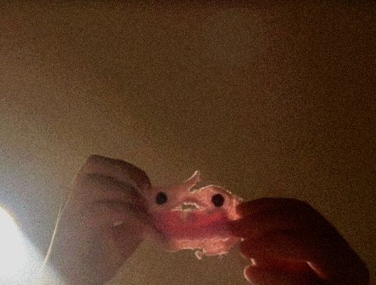 Blended Mann Github - Premium Light Design Gallery - 8K