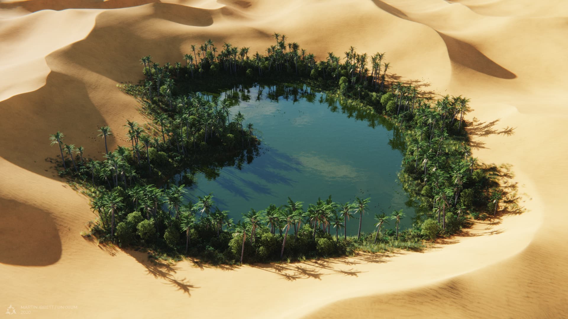 Desert oasis