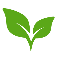 leaves 02