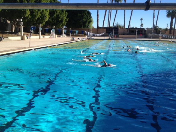 swimmers in a pool