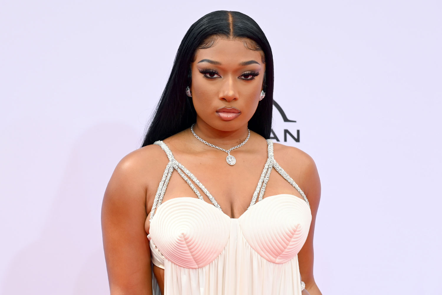 Megan Thee Stallion netflix