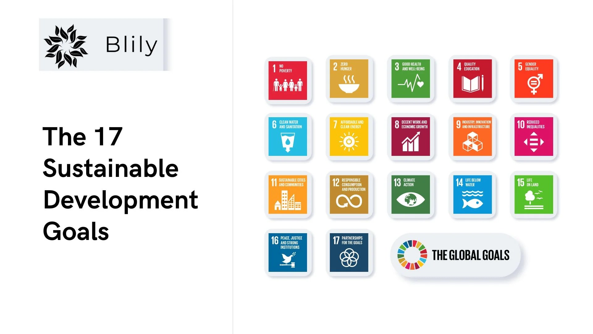 Sustainable Development Goals
