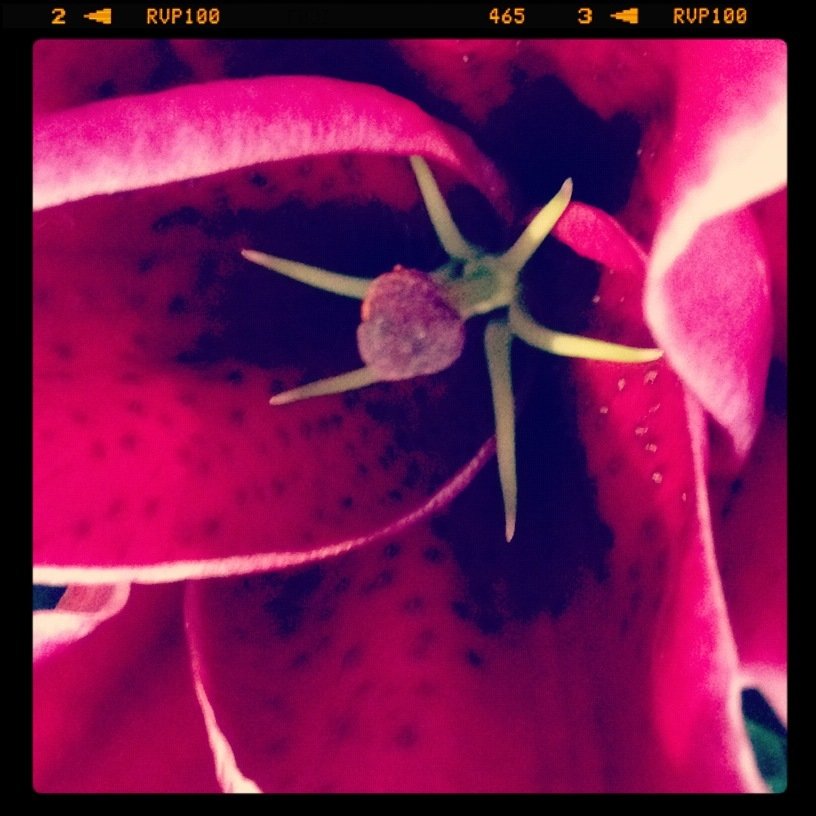 Blinded by the Bite!