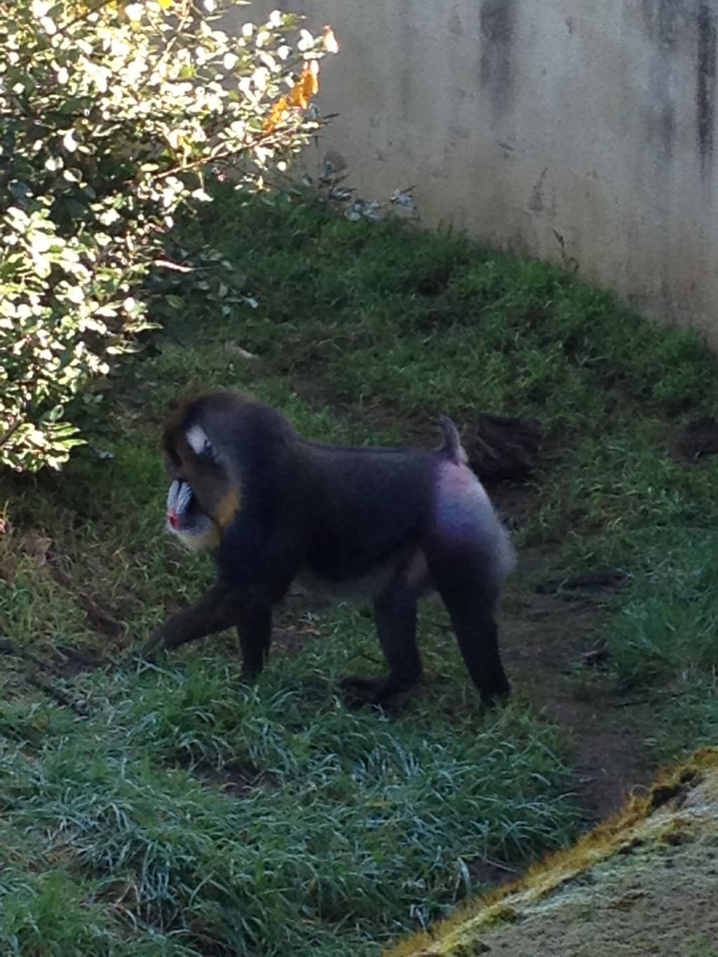 Blinded by the Bite!