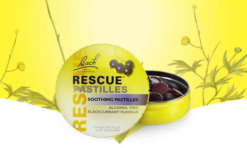 Creative Showcase Blis - Download Creative Sunset Illustration | Desktop