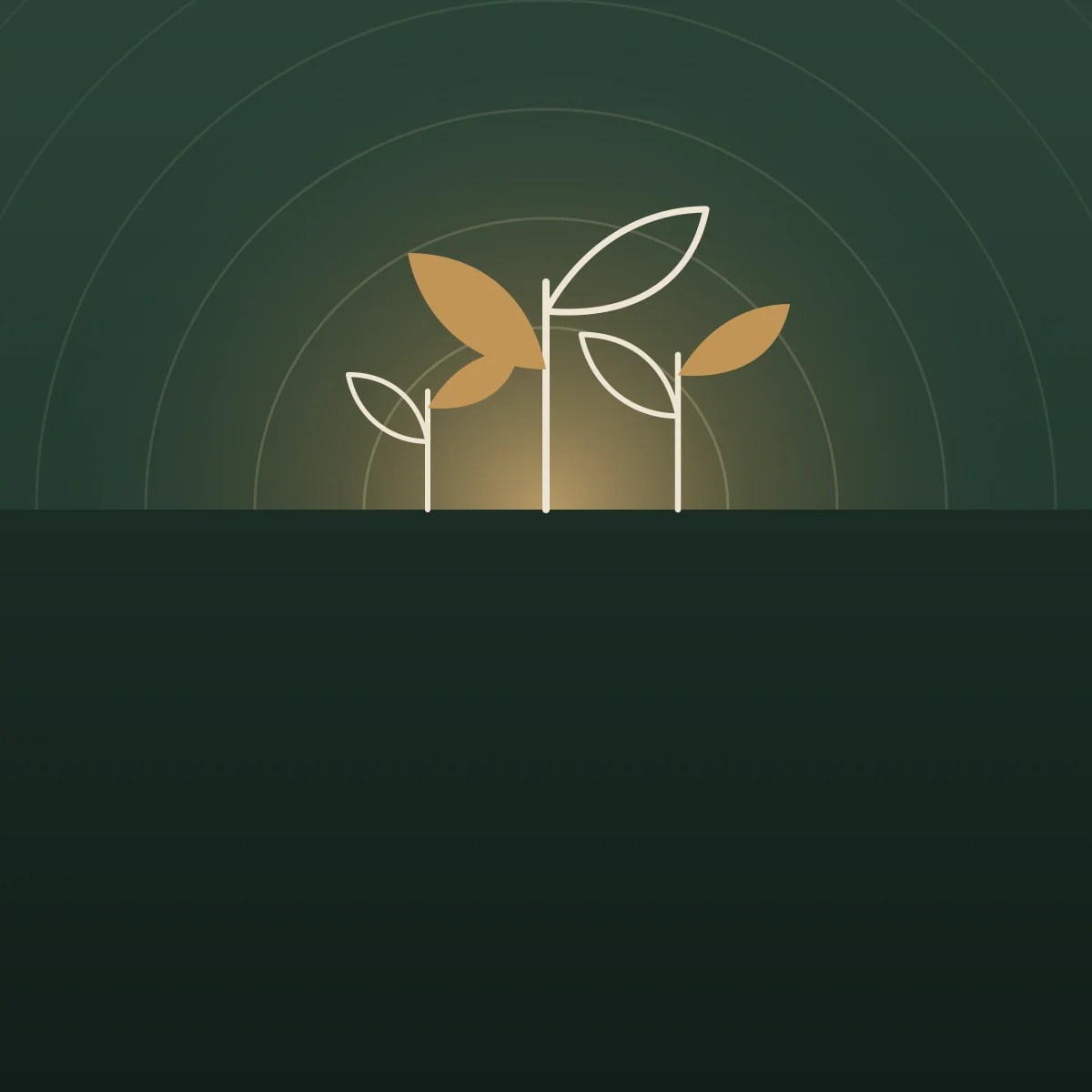 Blissful Evolution brand illustration of growing seedlings on deep green — contact page banner for Abi Beri’s integrative therapy practice.