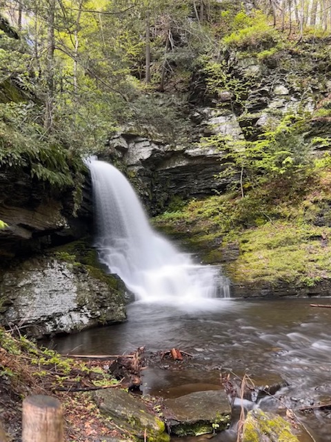 Waterfall cascading over a rocky cliff into a calm pool, surrounded by moss-covered rocks, fallen branches, and early spring greenery in a forest setting.