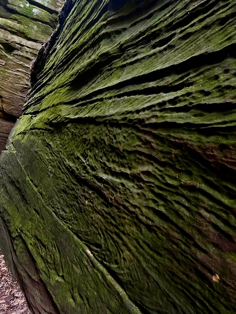 Moss-covered sandstone rock formations along Ledges Trail in Cuyahoga Valley National Park, Ohio, highlighting the trail's unique geology and scenic hiking experience.