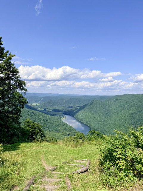 Scenic overlook view of a forest-covered valley with a winding river below, green mountains stretching into the distance, and a grassy trail leading toward the Vista viewpoint under a bright blue sky.