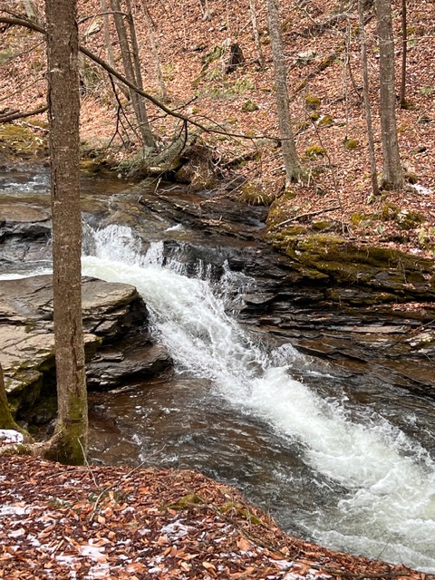 Small waterfall flowing over rocky ledges through a wooded landscape at Worlds End State Park in Pennsylvania.