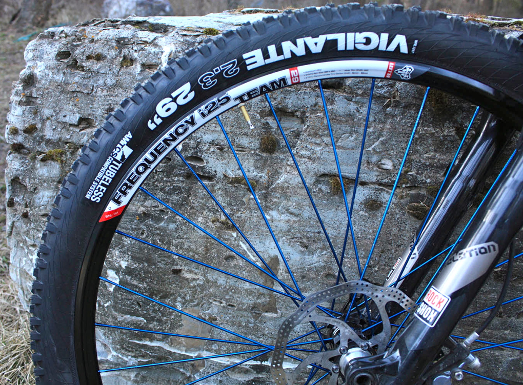 WTB Frequency Team i25 Rims | Blister