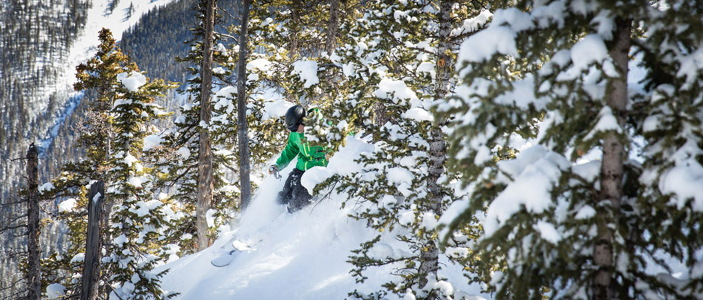 2015-2016 SkiLogik Powderball | Blister