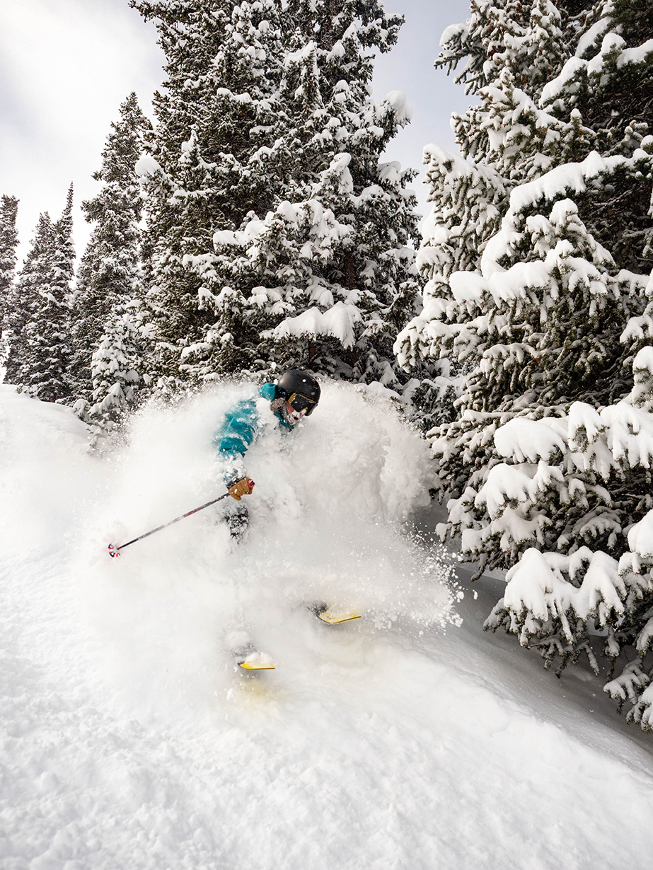 2019-2020 WNDR Alpine Intention 110 | Blister