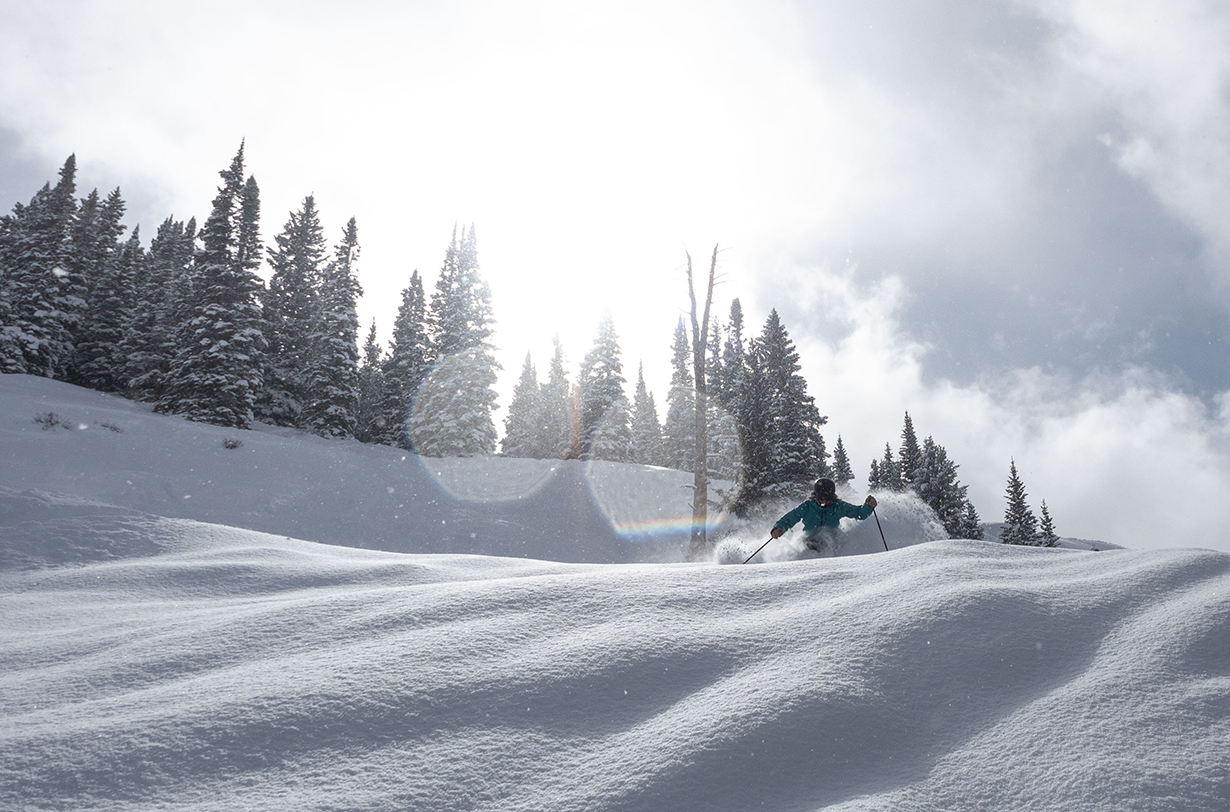 2019-2020 WNDR Alpine Intention 110 | Blister