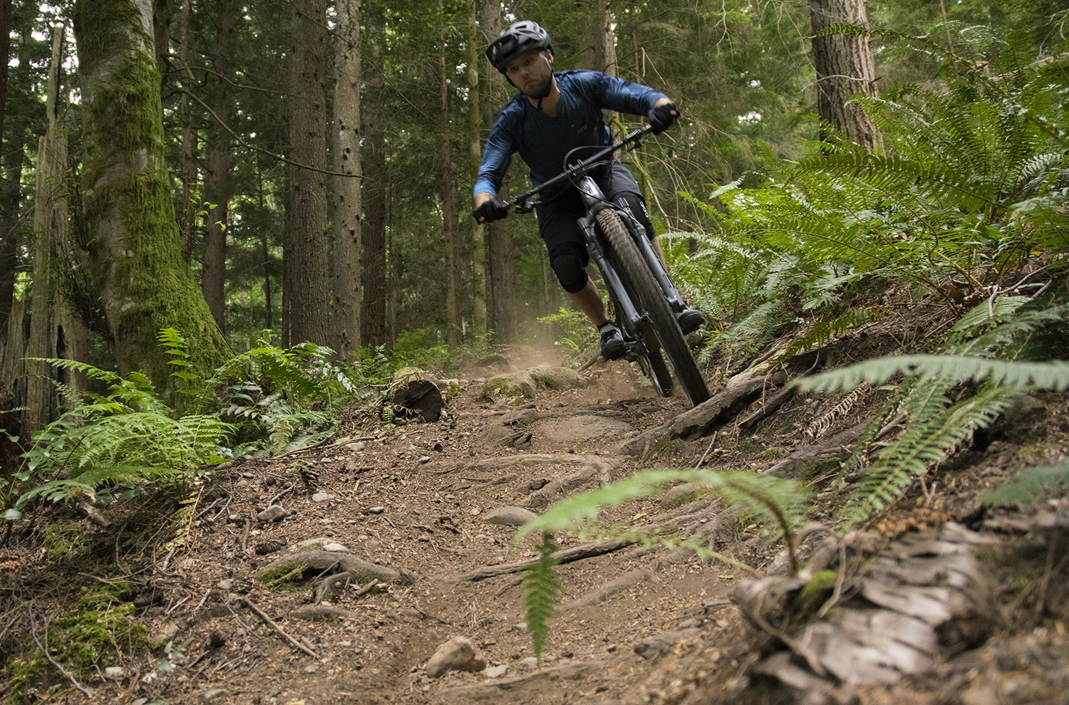 PNW Components Rainier Gen 3 Dropper Post | Blister