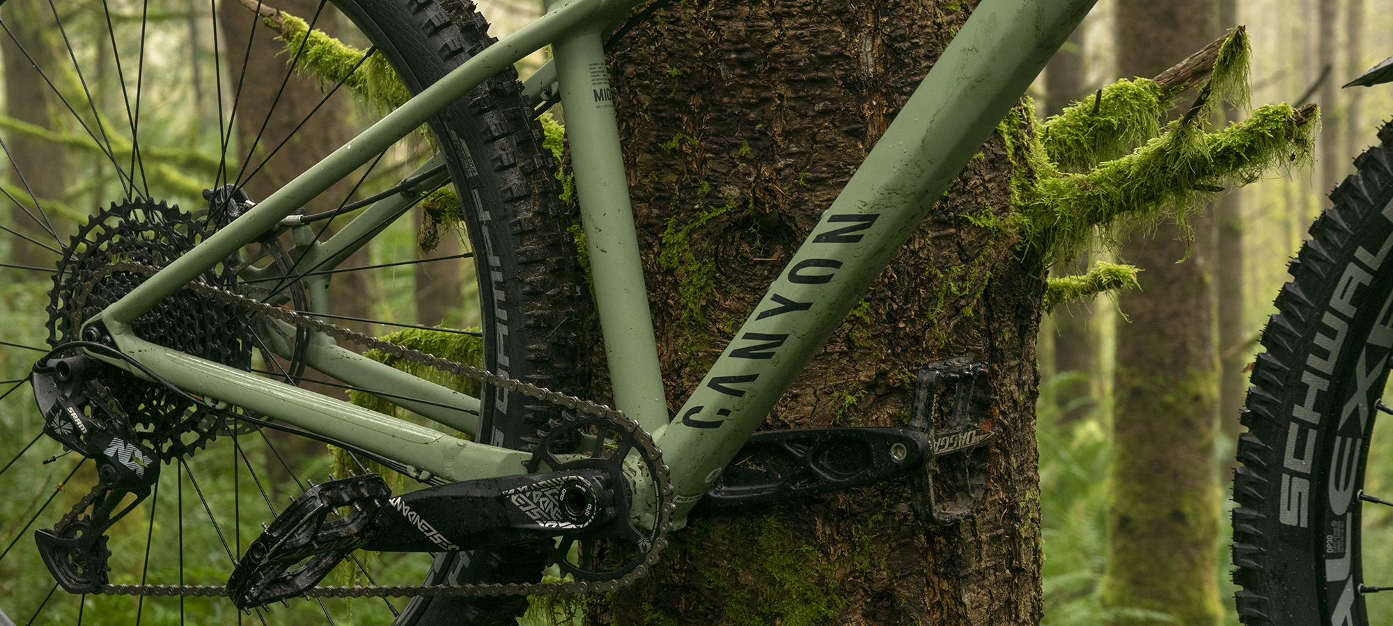 2021 Canyon Stoic | Blister