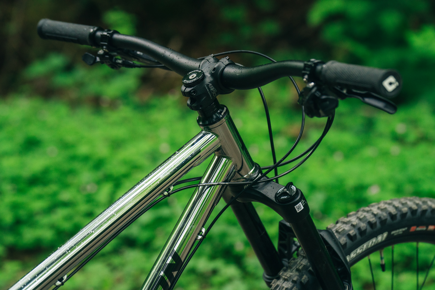 2024 Transition TransAM | Blister