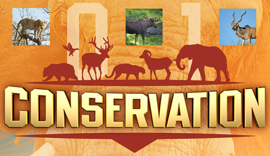 Dallas Safari Club 2016 convention graphic with wildlife and the word Conservation