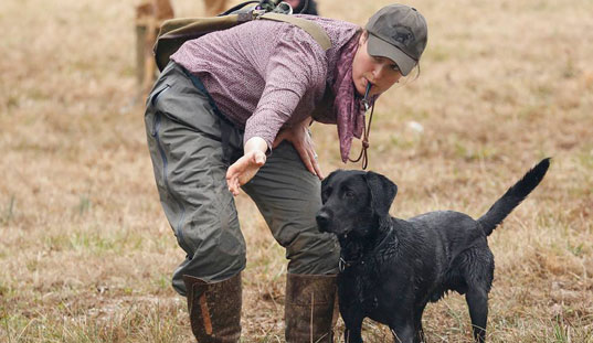 Handler crouching to greet a black Labrador in dry grass